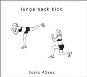 lunge back kick