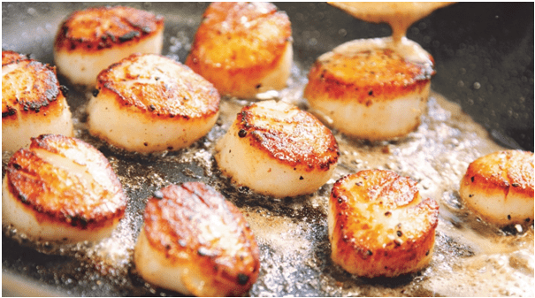 Scallops