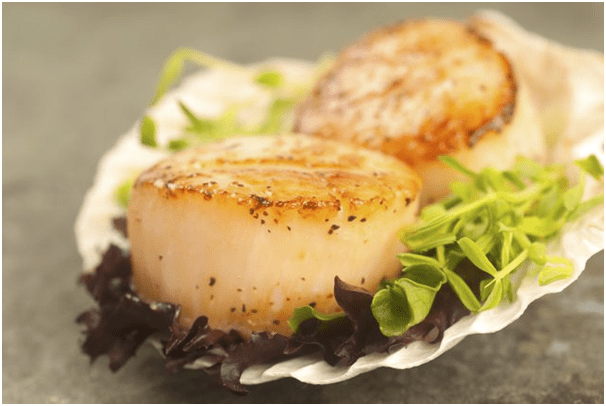 sea scallops