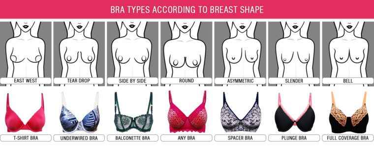 Know your body type 1 to Buy Perfect Bra
