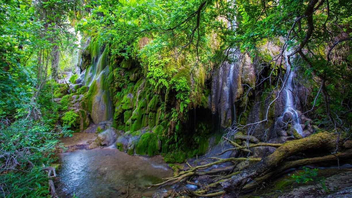 gorman falls