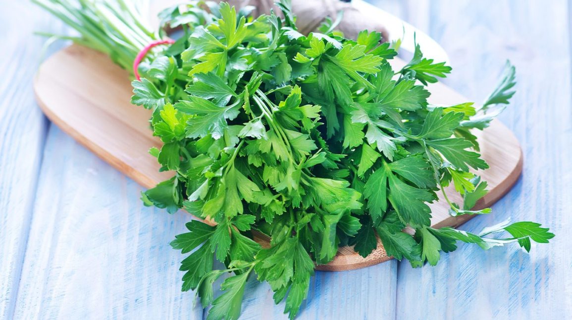 parsley-herb