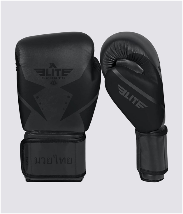 muay the boxing gloves