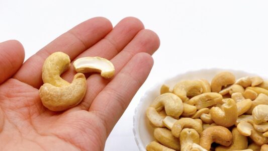 Cashew Nut