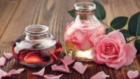 Wild Rose Oil for Hair: Benefits and How to Use It