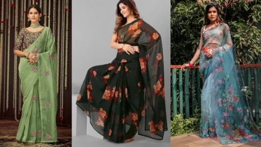 CHARACTERISTICS OF ORGANZA SAREES