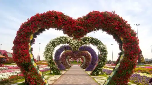 Dubai Miracle Garden